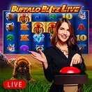 hitnspin buffalo live casino