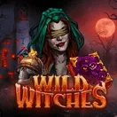 hitnspin wild witches